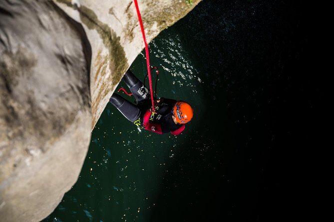 Medjurecki - The Sum Up