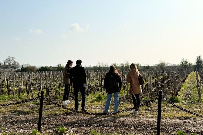 Medoc 1855 Individual Full Day Wine Tour - Transportation and Group Size