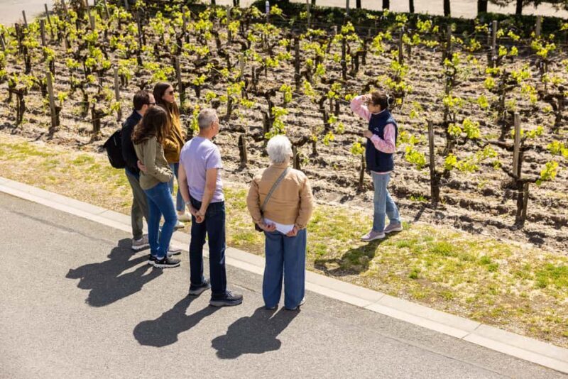 Medoc Afternoon Wine Tour, 2 Wineries, tastings & delicacies - Key Points