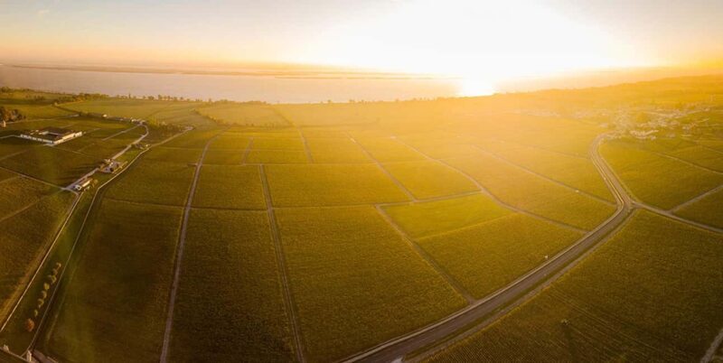 Medoc and Libournais (Left and right bank) - FAQ