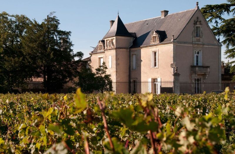 Medoc Tour : Margaux, Saint Estèphe and greediness - Final Thoughts