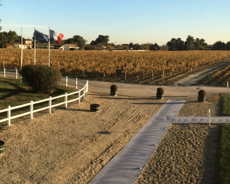 Médoc wine tour from Bordeaux: 2 wineries & 6 wines - Discovering Médoc: A Wine Tour Worth Considering