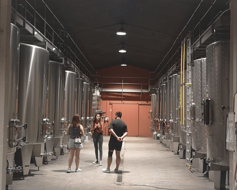 Médoc wine tour from Bordeaux: 2 wineries & 6 wines - Key Points