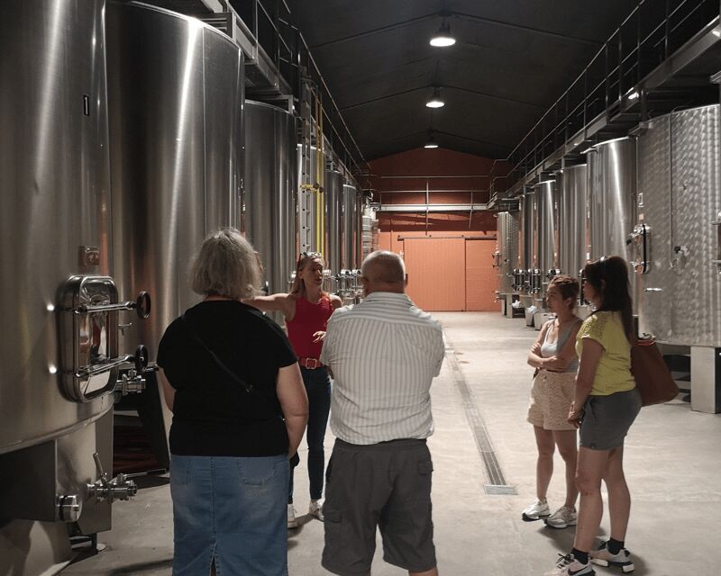 Médoc wine tour from Bordeaux: 2 wineries & 6 wines - Deep Dive into the Wineries