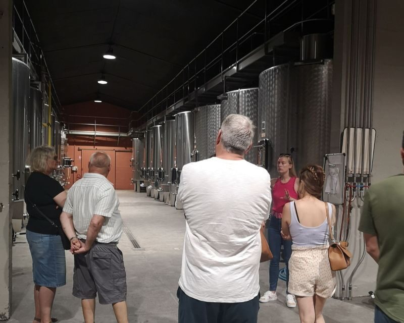 Médoc wine tour from Bordeaux: 2 wineries & 6 wines - Real Talk: Pros and Cons