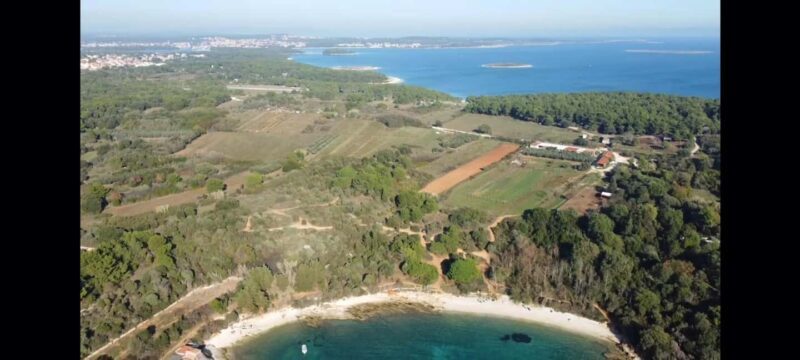 Medulin: Christmas Boat Trip with Lunch and Drinks - Final Thoughts