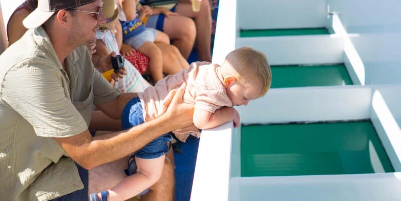 Medulin: Glass Boat Tour Experience to Kamenjak - What the Reviews Say