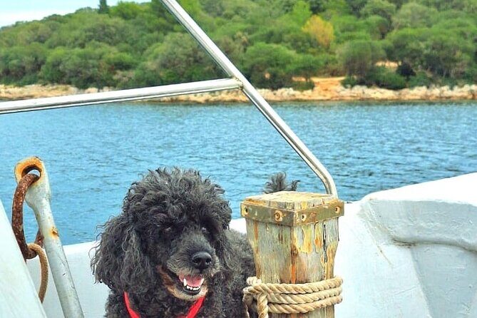 Medulin: Private Sunset Boat Cruise with Wine Tasting - The Traveler’s Perspective: What We Loved