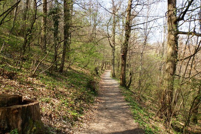 Medvednica Hiking and Chestnuts Picking Tour from Zagreb - Exploring the Medvednica Hiking and Chestnuts Picking Tour from Zagreb