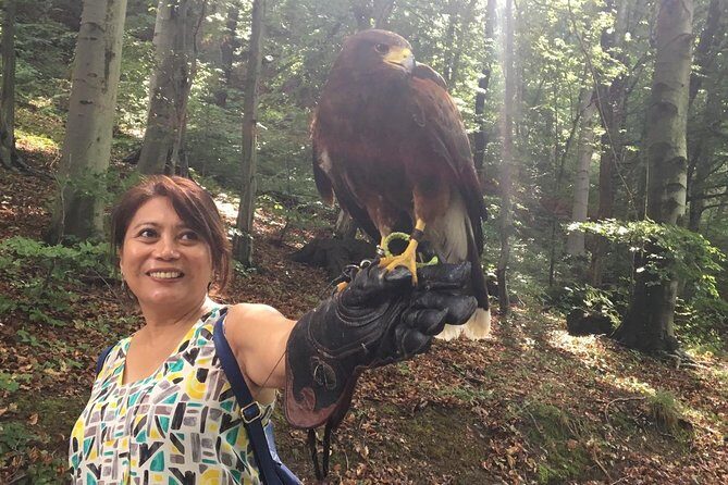 Medvednica Nature Park Falconry Tour from Zagreb - Medvednica Nature Park Falconry Tour from Zagreb: An Honest Look