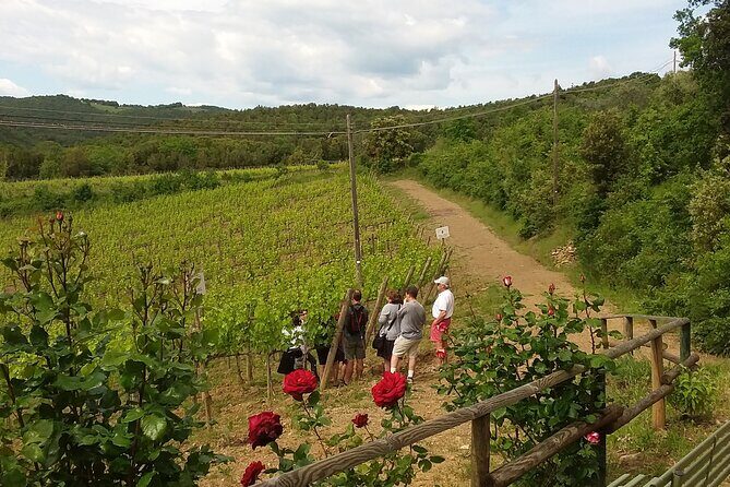 Meet the king of the territory: Brunello di Montalcino - Meet the king of the territory: Brunello di Montalcino