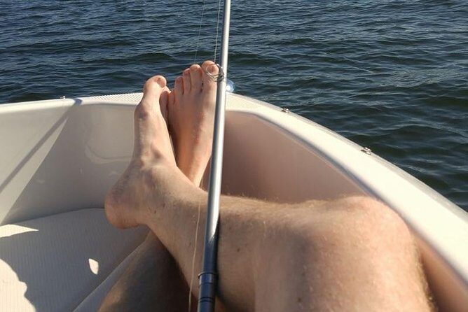 Meet The Seals Boat Tour - Travel by boat to a Secret Seal Cove - Practical Details