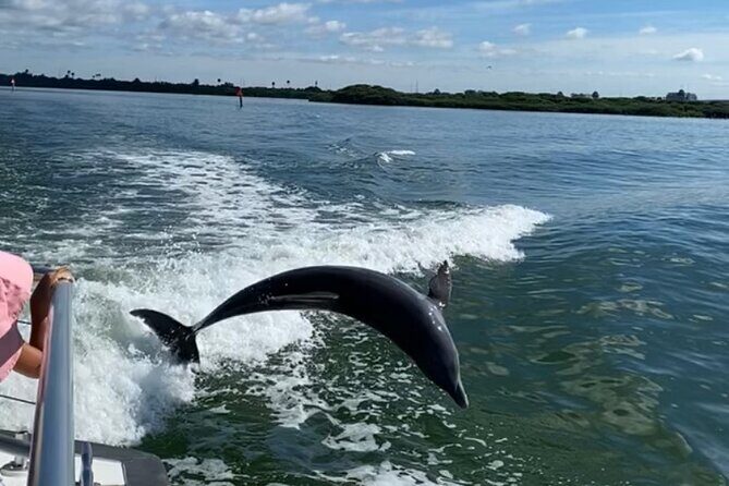 Mega Bite Dolphin Tour Boat in Clearwater Beach - Authentic Perspectives from Past Travelers