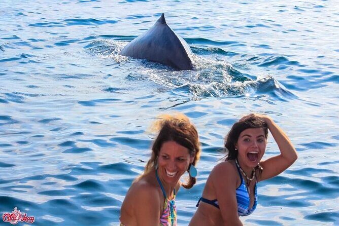 Mega Yacht Limousine of the Sea 1: Puerto Vallarta - Who Would Love This Tour?