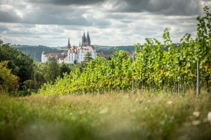 Meißen: Wine hike in the Proschwitzer vineyards including a 3-part wine tasting - How It Compares to Similar Experiences