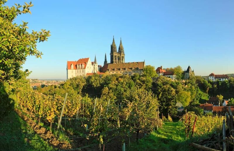 Meißen: Wine hike to the Rothes Gut winery, including a tasting of 3 wines - Practical Tips for Making the Most of This Tour