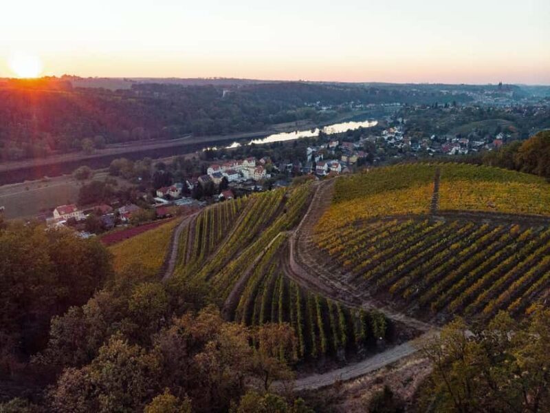 Meissen: Wine hike in the Spaargebirge including 3 wine tastings - Discovering the Charm of the Meissen Wine Hike