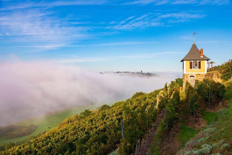 Meissen: Wine hike in the Spaargebirge including 3 wine tastings - FAQ