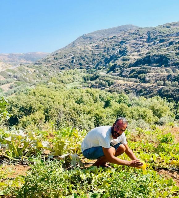 Melanes: Naxos Perivoli Farm & Cooking Class with Wood Fire - The Value of This Tour