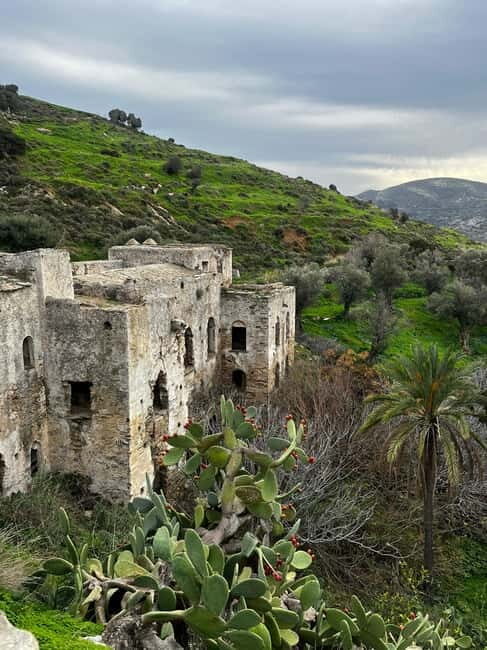 Melanes Tour: Village Highlights & Garden-to-Table Meal - An Honest Look at the Melanes Village Tour