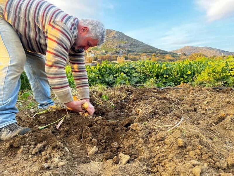 Melanes Tour: Village Highlights & Garden-to-Table Meal - Final Thoughts: Is it worth it?