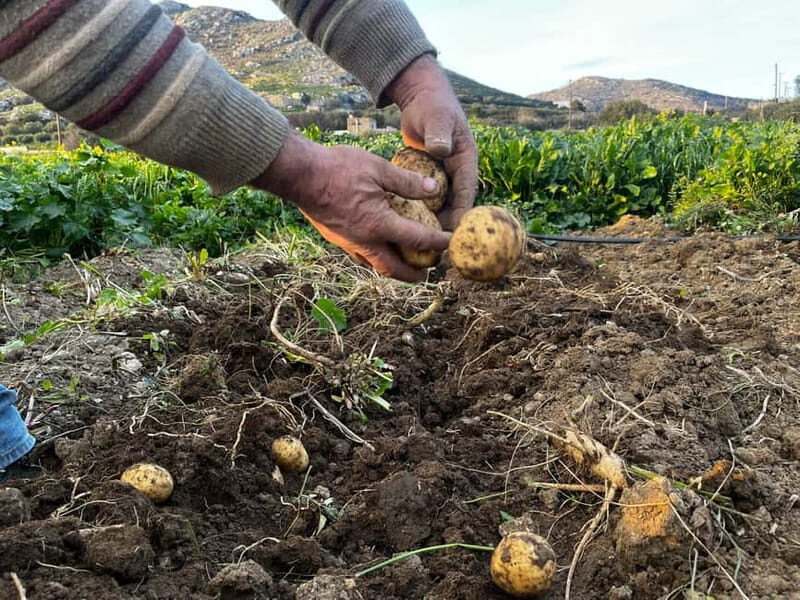 Melanes Tour: Village Highlights & Garden-to-Table Meal - FAQ