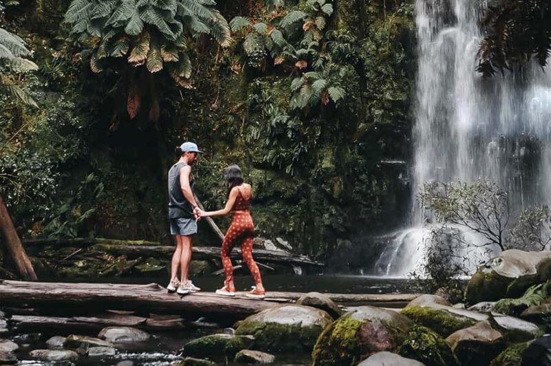 Melbourne: 12 Apostles, Otways & Great Ocean Road Day Tour - End of the Day: Back to Melbourne