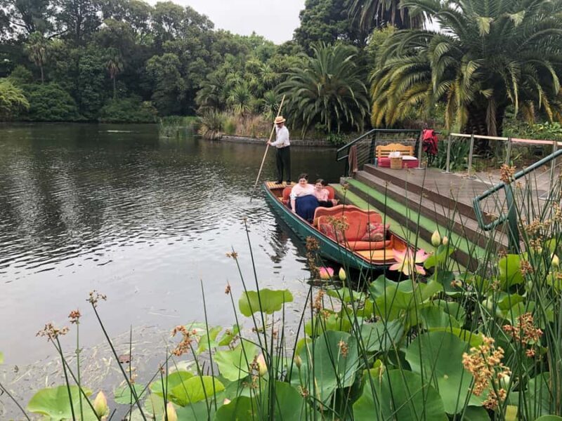 Melbourne: Botanic Gardens & Sports Precinct Walking Tour - Exploring Melbourne’s Green Heart: The Royal Botanic Gardens