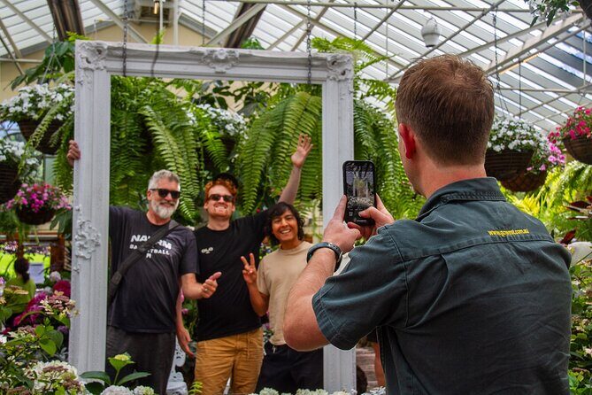 Melbourne City Highlights Small Group Tour - What to Expect from the Melbourne City Highlights Tour