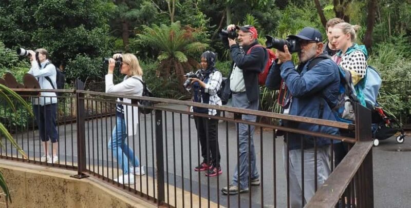 Melbourne City Surrounding Sightseeing Tour - Who Should Consider This Tour?