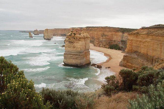 Melbourne Combo: Great Ocean Road Day Trip and Phillip Island Day Trip from Melbourne - Key Points