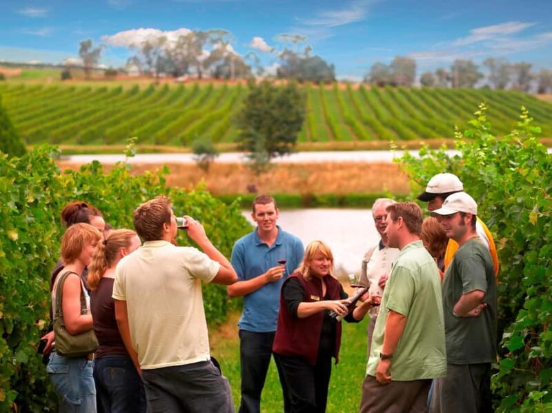 Melbourne: Full-Day Yarra Valley Wine Experience with Lunch - The Experience and Group Dynamics