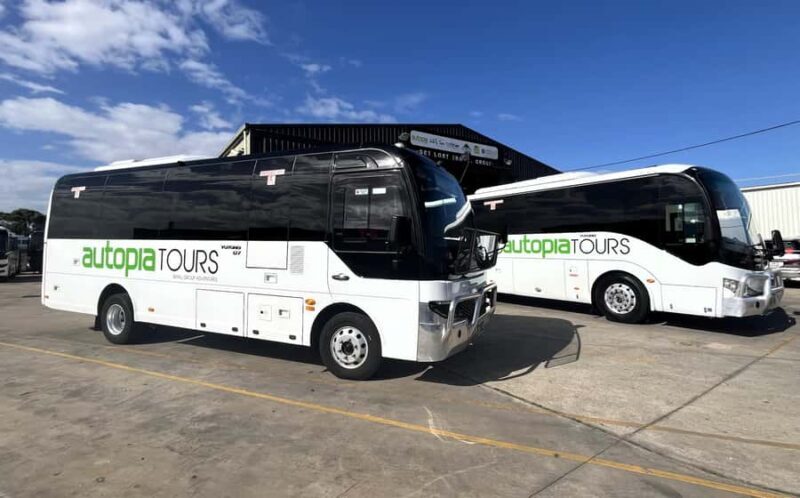 Melbourne: Great Ocean Road, 12 Apostles & Rainforest Tour - Return Journey and Reflection