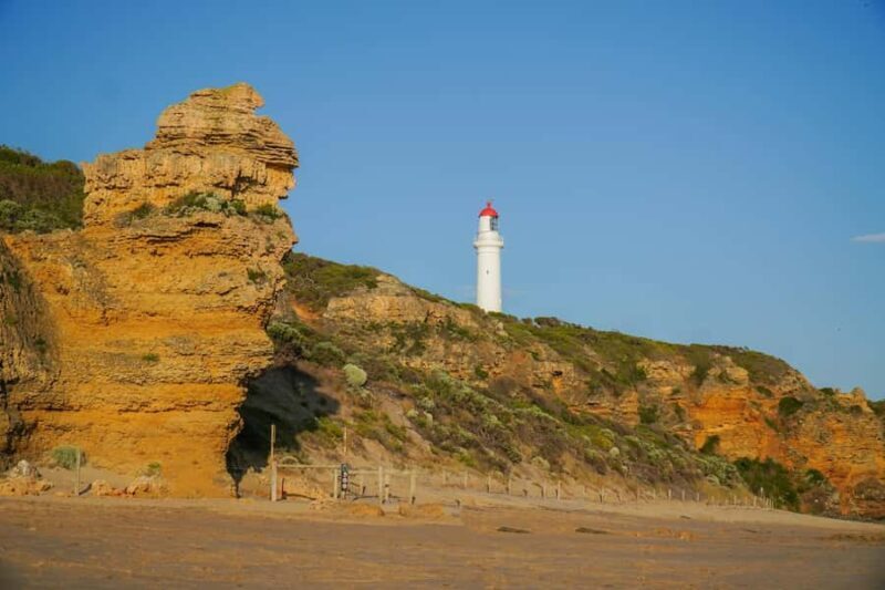 Melbourne: Great Ocean Road Adventure with Iconic Stops - What to Expect on the Tour