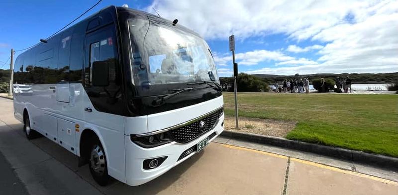 Melbourne: Great Ocean Road Extended–Top Stops&London Bridge - Twelve Apostles: the main act (and yes, the wind can be real)