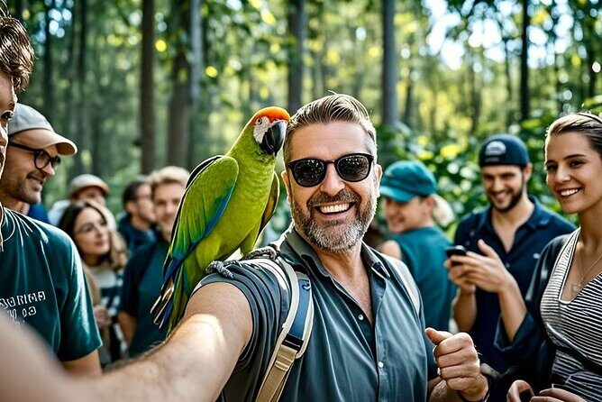 Melbourne Great Ocean Road Reverse Tour + London Bridge wildlife - Who Should Consider This Tour?