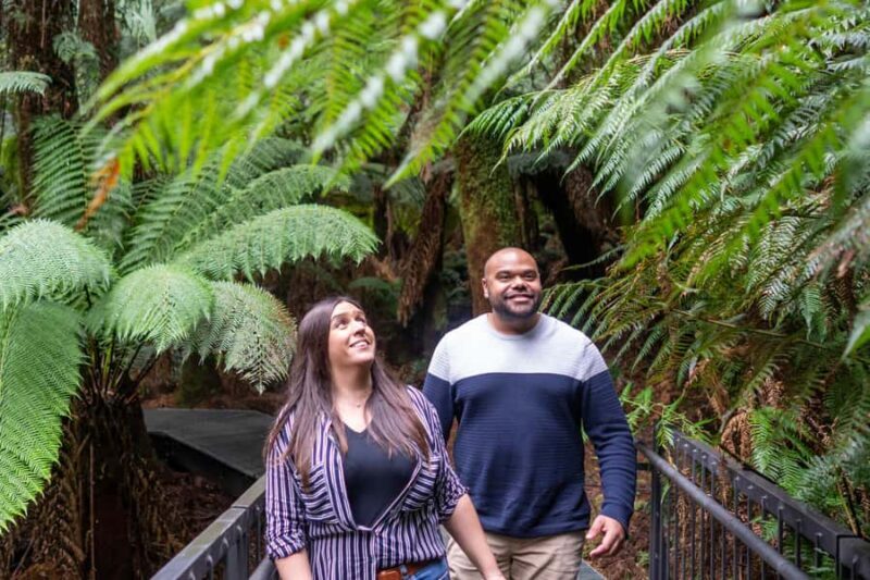 Melbourne: Great Ocean Road Ultimate 12 Apostles with Lunch - The Iconic Memorial Arch and Coastal Towns