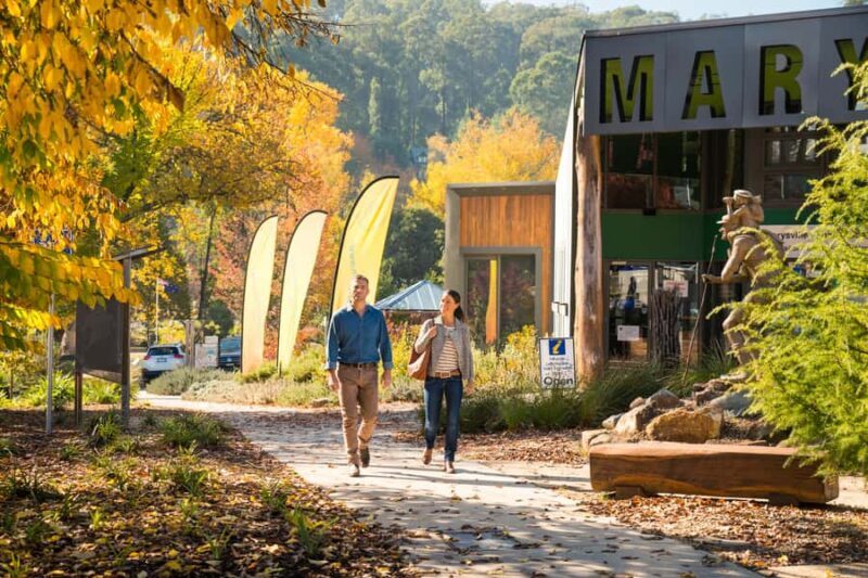 Melbourne: Lake Mountain Snow Day and Waterfalls & Chocolate - Practical Tips for Your Day Out