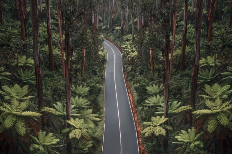 Melbourne: Lake Mountain Snow Day and Waterfalls & Chocolate - Final Thoughts