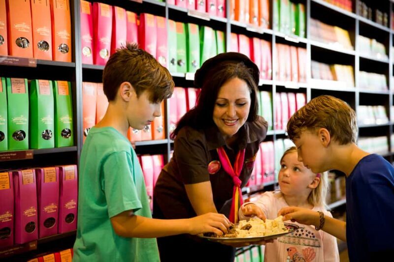 Melbourne: Lake Mountain Snow & Waterfalls Guided Tour - What the Reviews Say