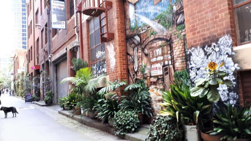 Melbourne Laneways Tour - Final Thoughts