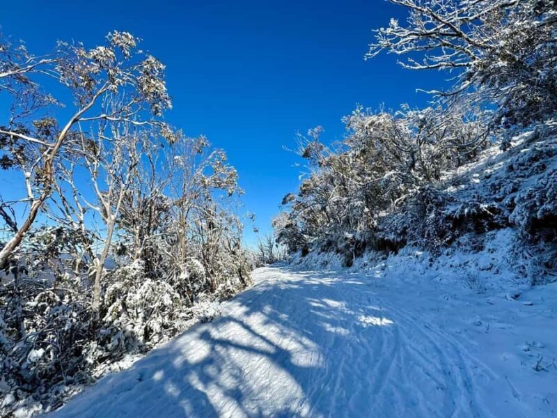 Melbourne: Mount Baw Baw Private Snow Tour with Guide - The Value of a Private, Guided Experience