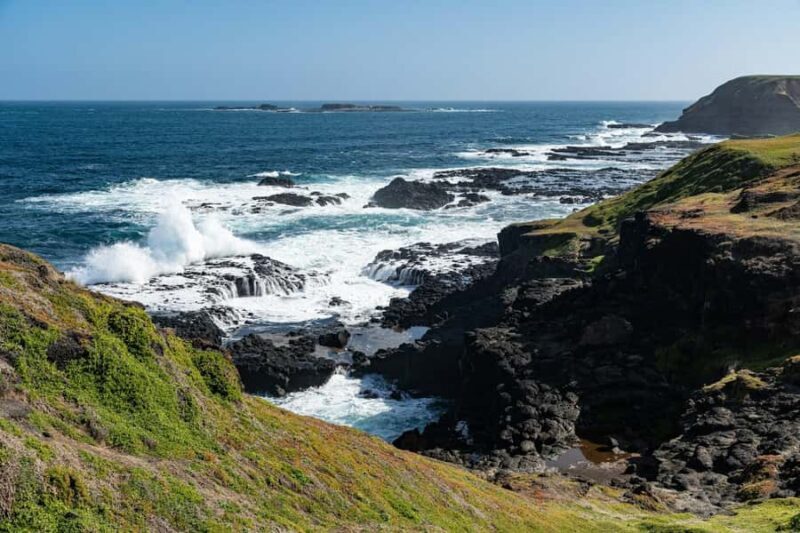 Melbourne: Penguin Parade & Phillip Island Scenic Day Tour - The Real Deal: What Travelers Say