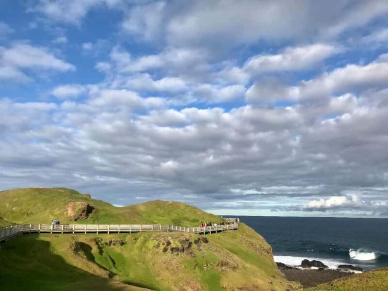 Melbourne: Penguin Parade & Phillip Island Scenic Day Tour - FAQ