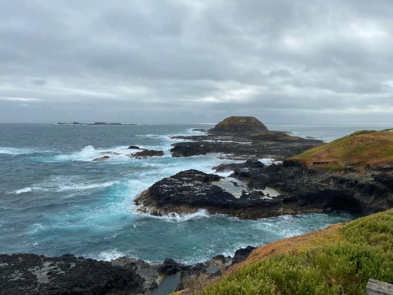 Melbourne: Phillip Island Tour & Penguin Parade - The Penguin Parade