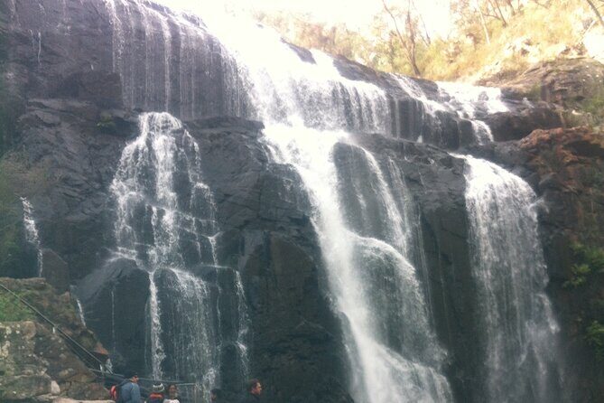 Melbourne: Private Grampian National Park Tours - Introduction