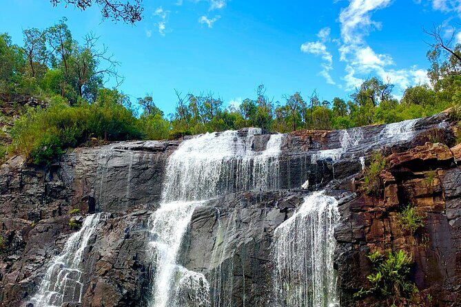 Melbourne: Private Grampian National Park Tours - Who Should Consider This Tour?