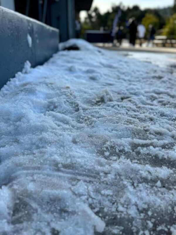 Melbourne: Private Lake Mountain Snow & Redwood Forest Tours - What Makes This Tour Stand Out