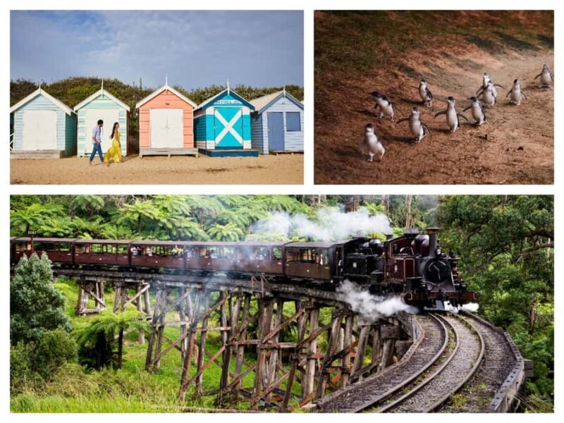 Melbourne: Puffing Billy Penguin Parade Brighton Boxes Tour - Who Is This Tour Best For?