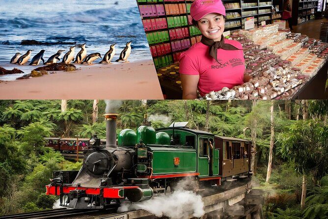 Melbourne Puffing Billy Penguin wine choc(16 max) Hotel Pick Up - Key Points